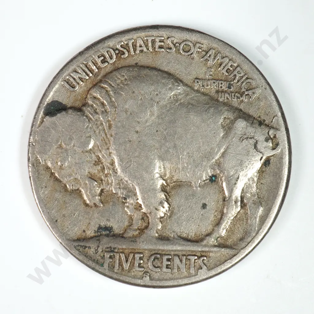 Buffalo Nickel: 1921 S - Verdigris Else Very Fine. Image 1++