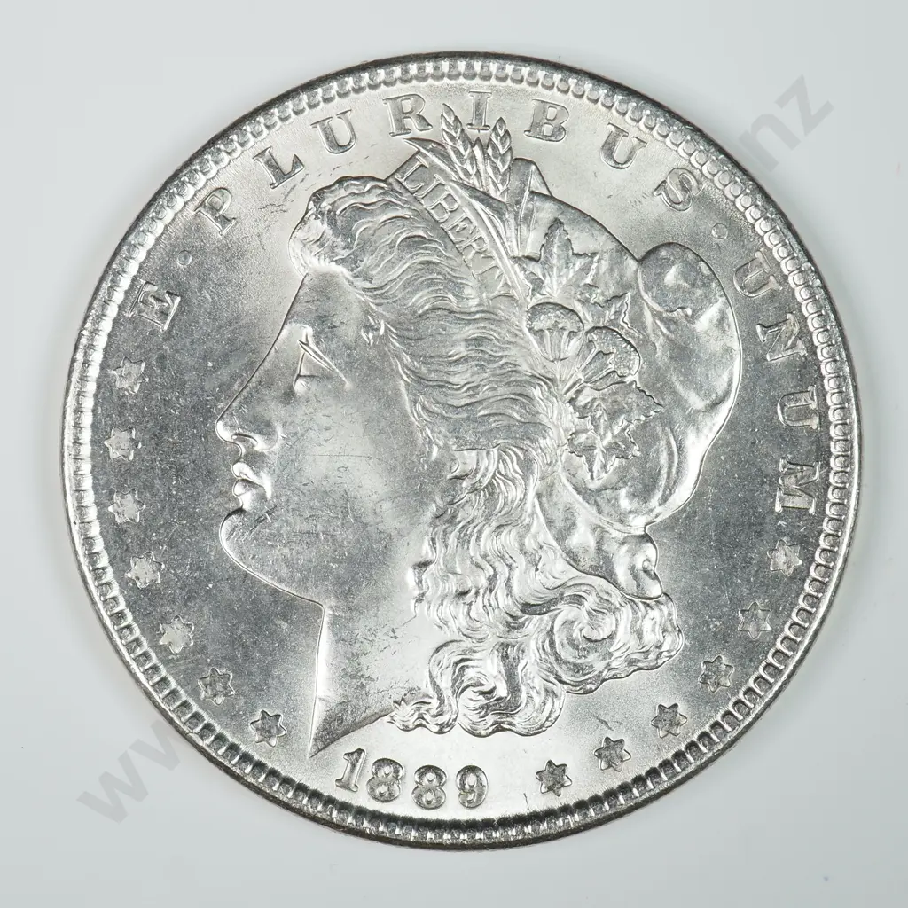 Morgan Dollar: 1889 - MS60 C.V USD $116 ( NZD $200 ) MS65 C.V USD $356 ( NZD $620 ) Image 1++