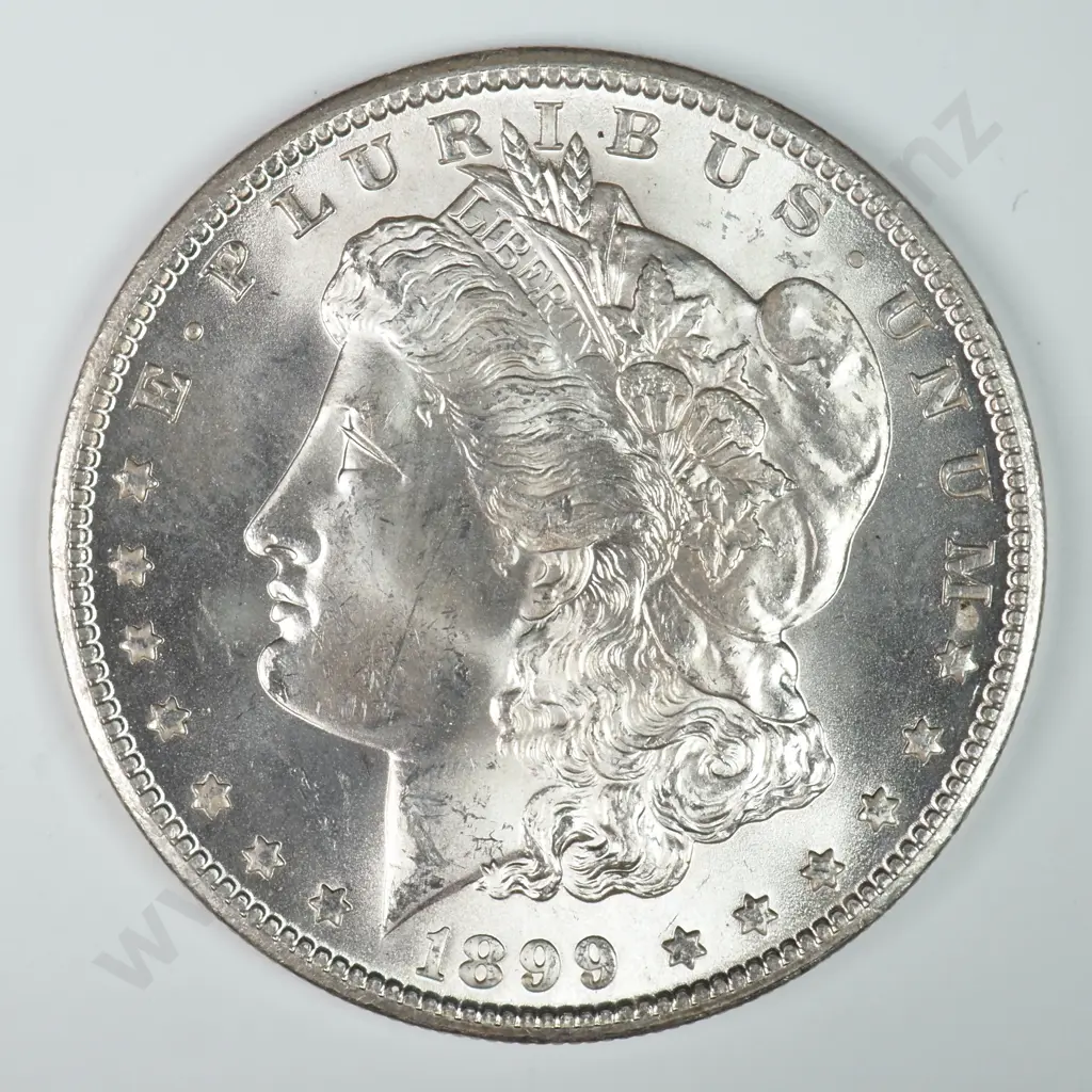 Morgan Dollar: 1899 O - MS60 C.V USD $116 ( NZD $200 ) MS65 C.V USD $308 ( NZD $535 ) Image 1++