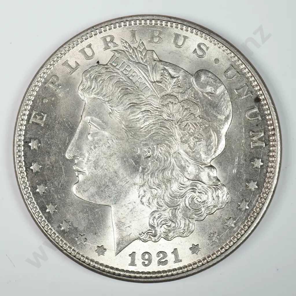 Morgan Dollar: 1921 - MS60 C.V USD $116 ( NZD $200 ) MS65 C.V USD $312 ( NZD $540 ) Image 1++