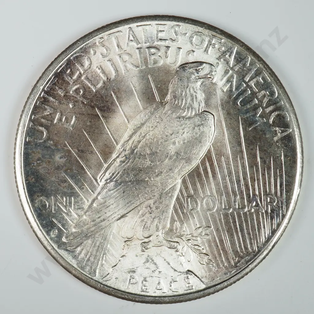 Peace Dollar: 1922 S - MS60 C.V USD $116 ( NZD $200 ) MS65 C.V USD $1488 ( NZD $2590 ) Image 1++