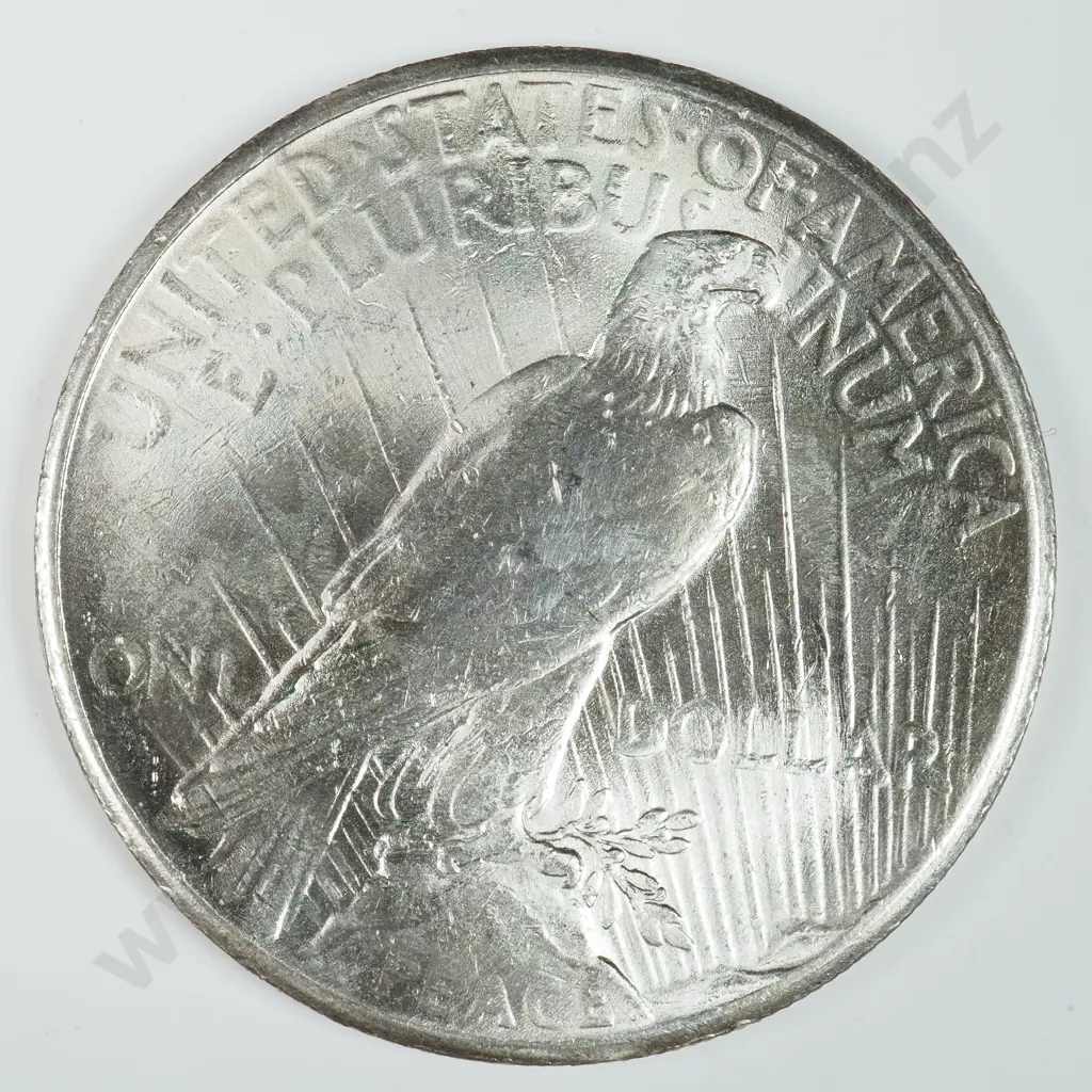 Peace Dollar: 1926 - MS60 C.V USD $143 ( NZD $250 ) MS65 C.V USD $682 ( NZD $1185 ) Image 1++