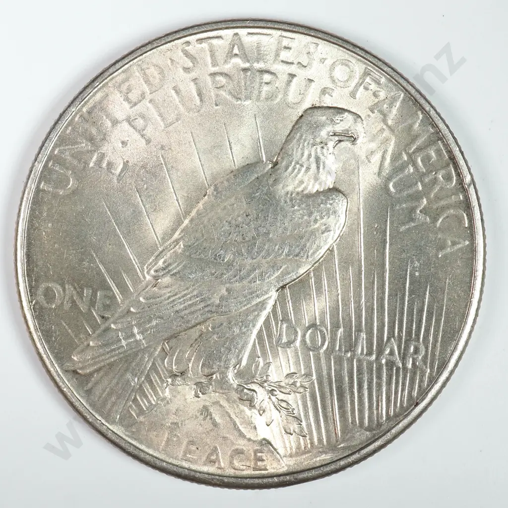Peace Dollar: 1934 - Almost Uncirculated. C.V USD $124 ( NZD $215 ) Image 1++