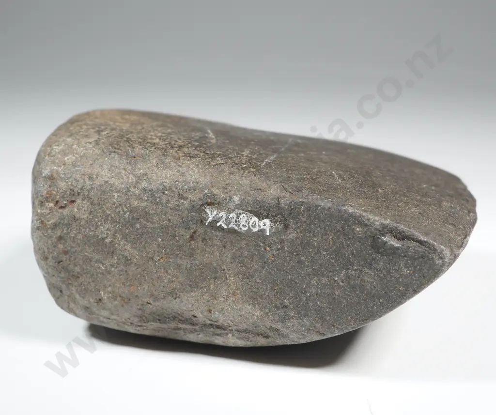 Pre-European Stone Toki - Found in the Hawkes bay Y-22809 Image 1++