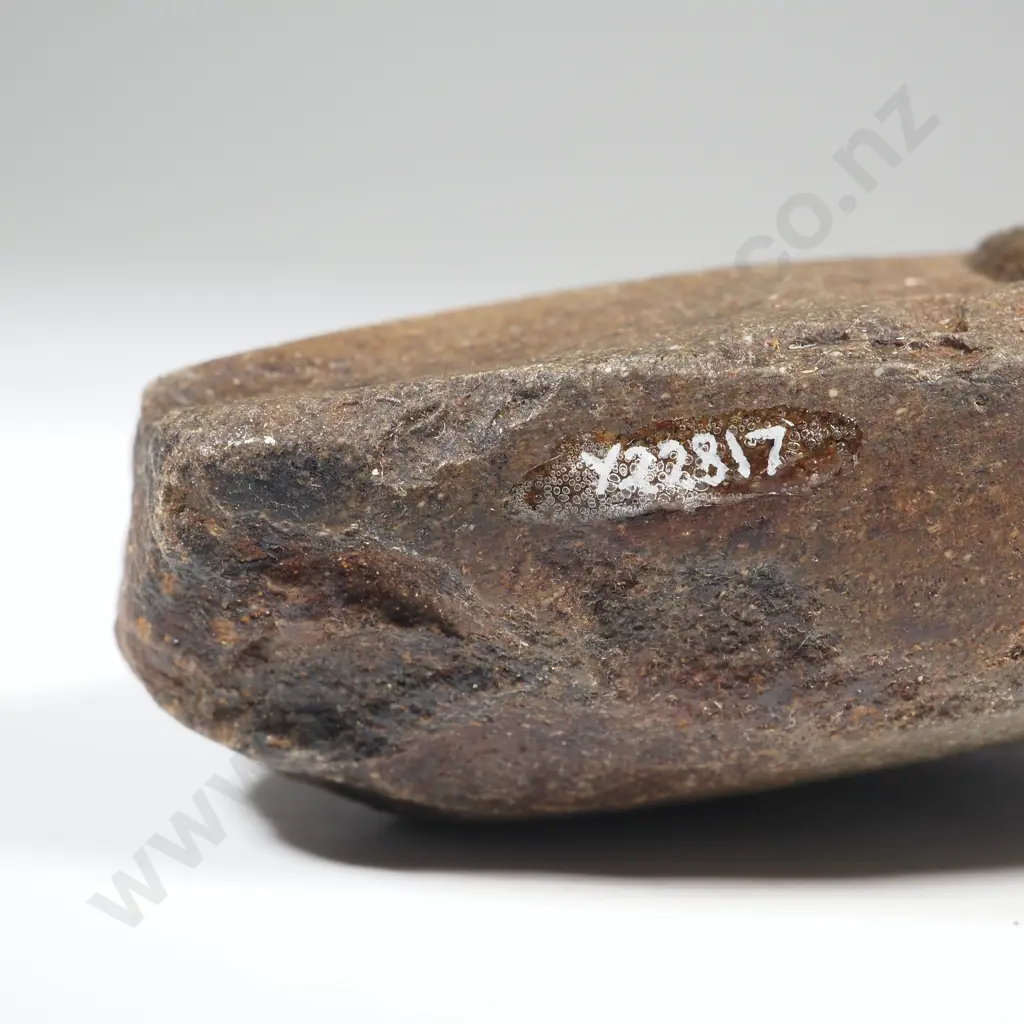 Pre-European Stone Toki - Found in the Hawkes bay Y22817 Image 1++
