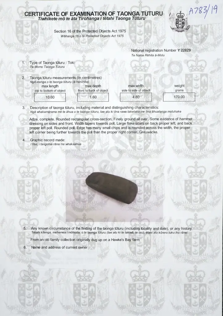Pre-European Stone Toki - Found in the Hawkes bay Y22829 Image 1++