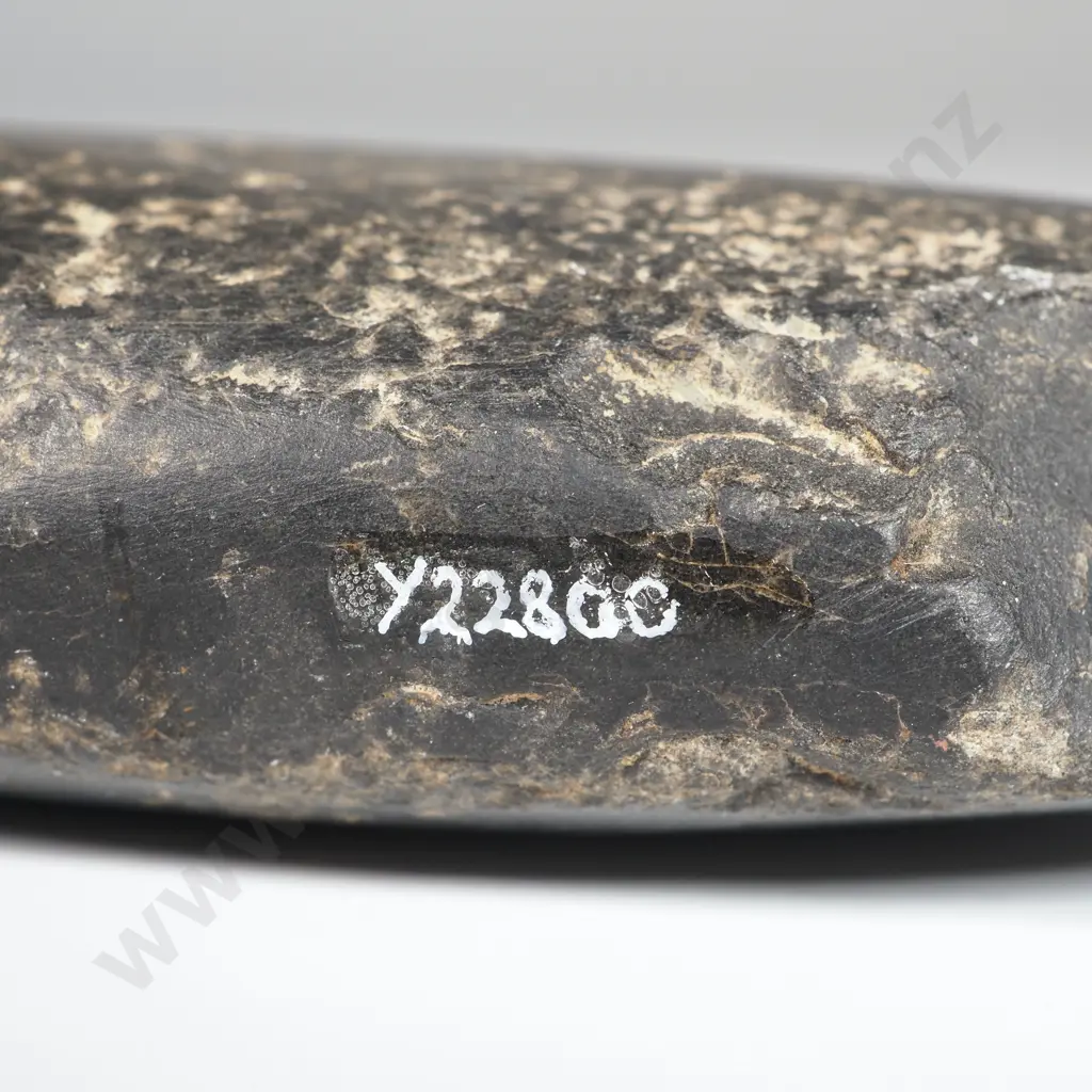 Pre-European Stone Toki Y-22800 Image 1++