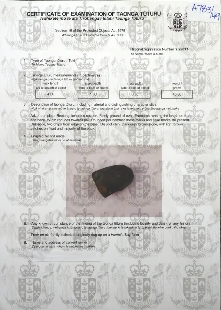 Pre-European Stone Toki - Found in the Hawkes bay Y-22813 Image 1++