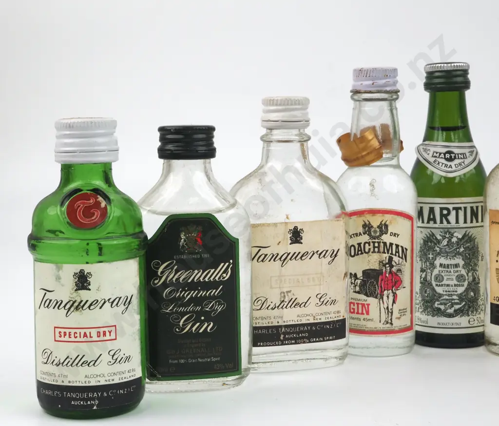 Collection Of Miniature Alcohol Bottles Including Gin, Martini, Rum, Image 1++