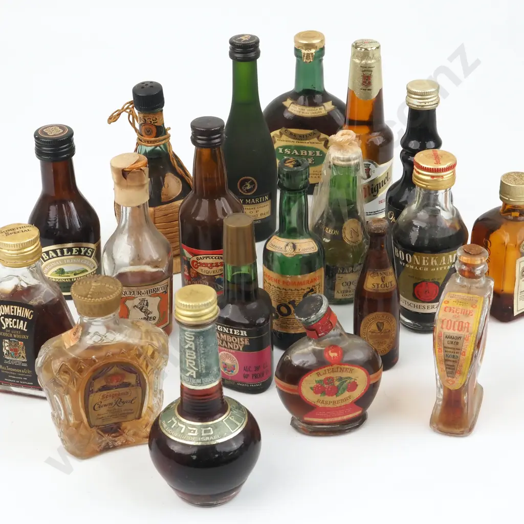 Quantity Of Miniature Alcohol Bottles Including Baileys, Sambuca, Remy Martin  Image 1++