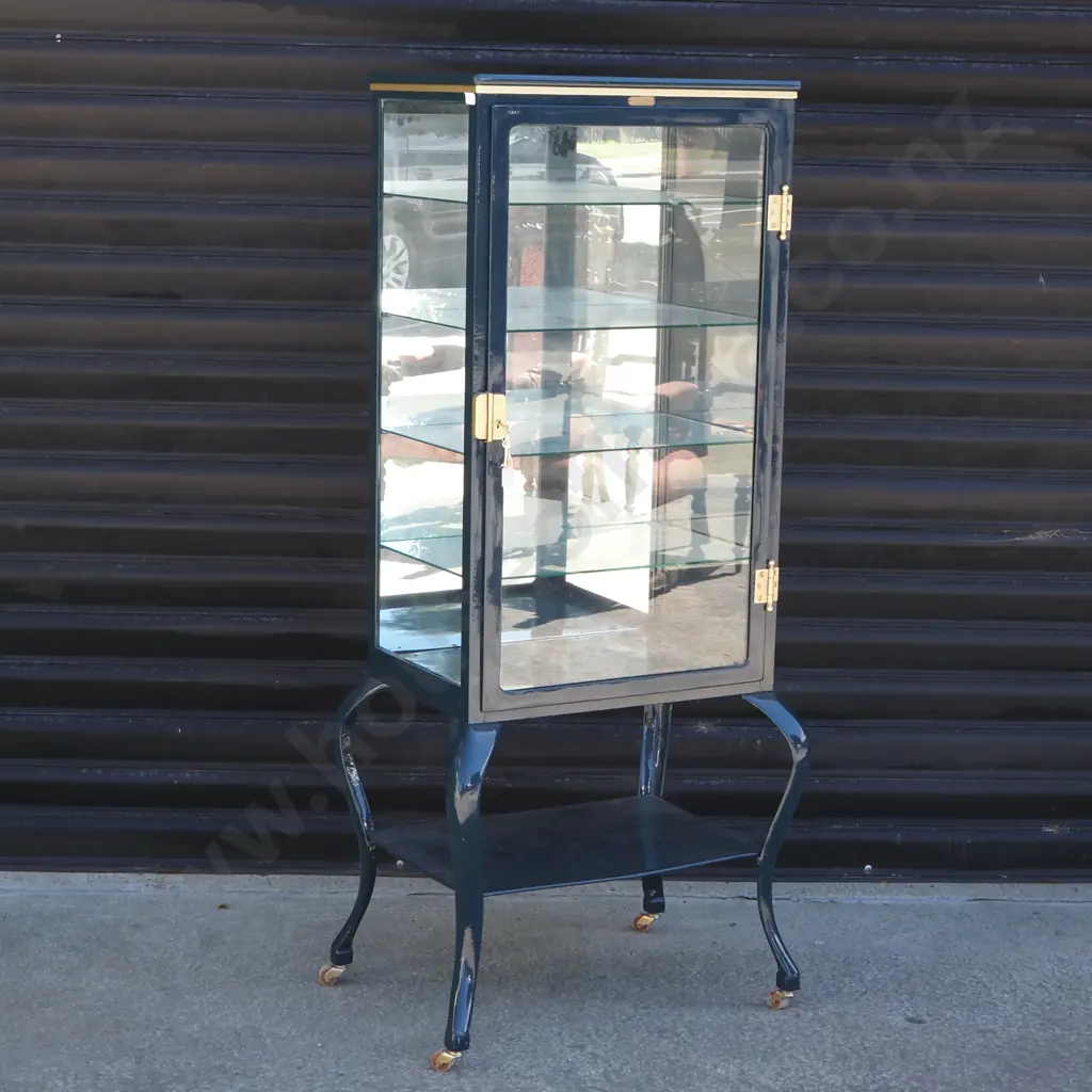 Impressive Restored Medical Display Case - KNY Sheerer Company Image 1++