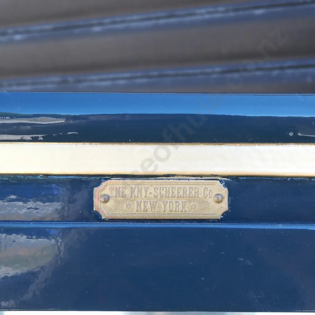 Impressive Restored Medical Display Case - KNY Sheerer Company Image 1++