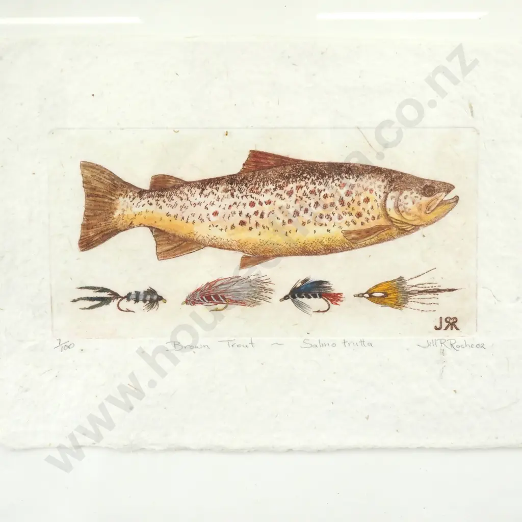 Jill R Roche 2002 - Brown Trout - Salmo Trutta Etching on Paper 7/100 Image 1++