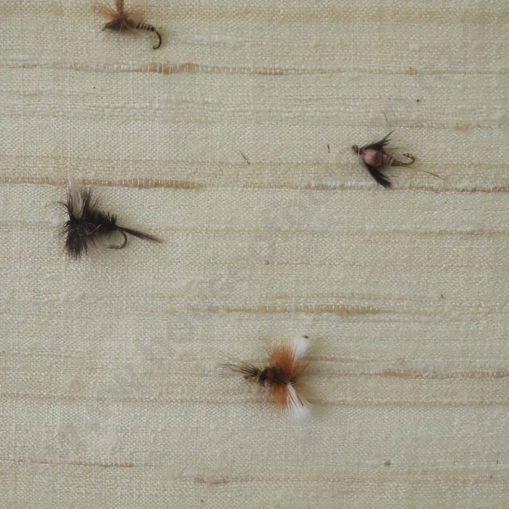 Two Octagonal Framed Groups Of Fishing Flies Image 1++