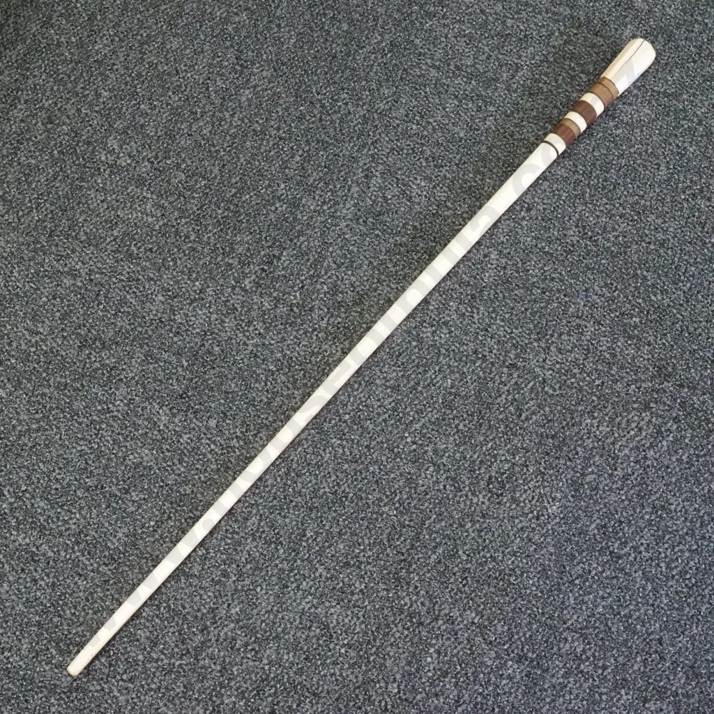 Antique Whale Bone Walking Stick w Balleen Divider & Timber Insets Image 1++