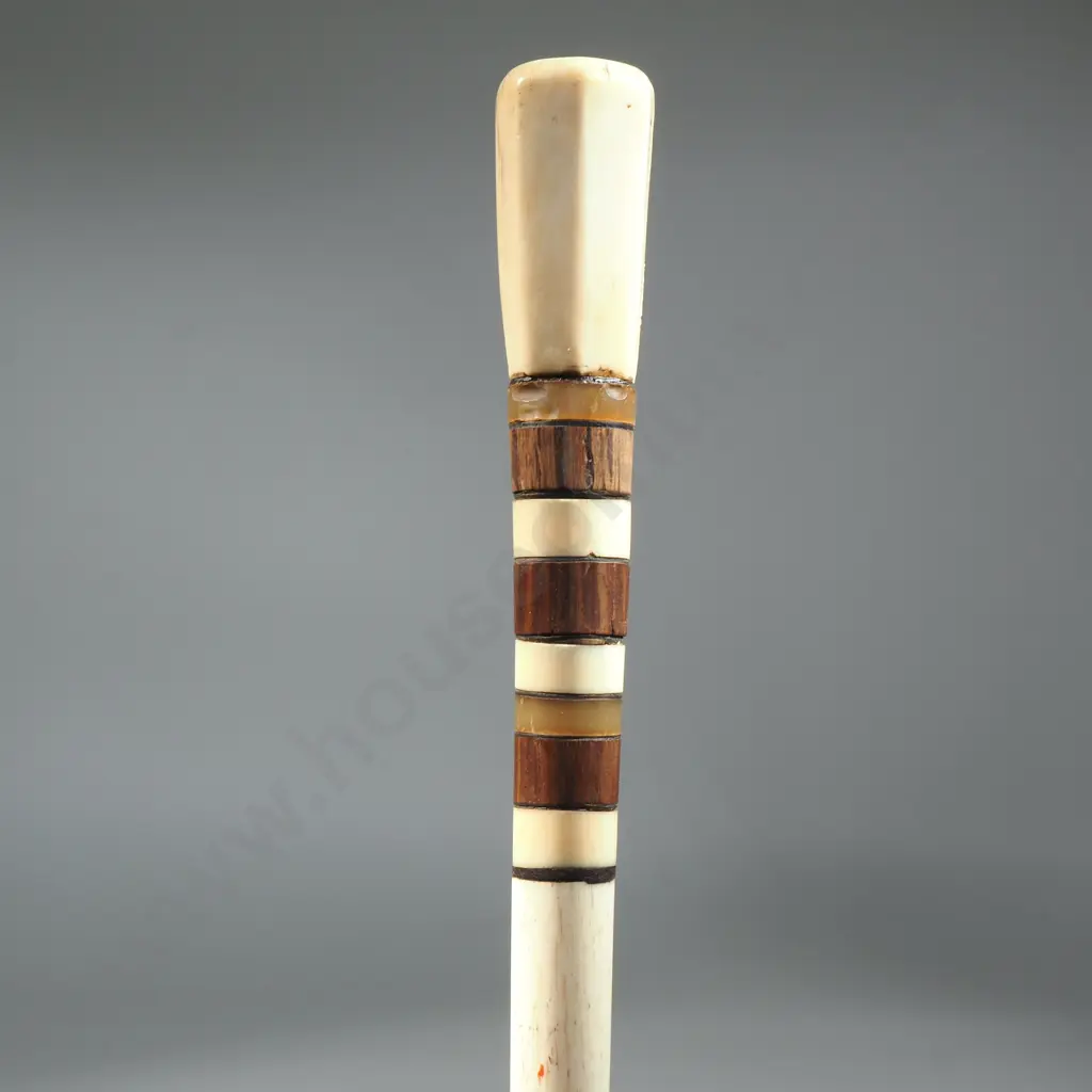 Antique Whale Bone Walking Stick w Balleen Divider & Timber Insets Image 1++