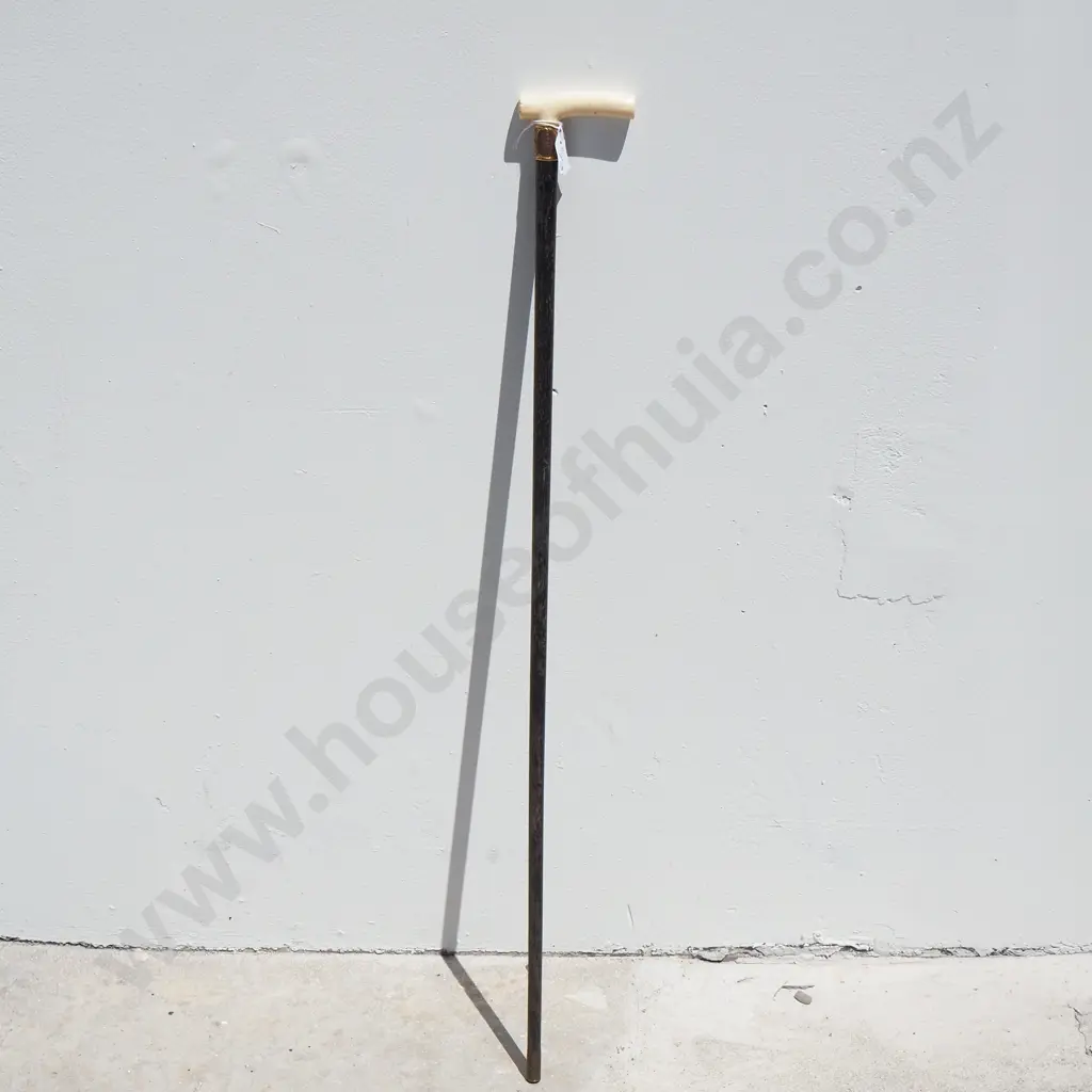 Gentleman's Walking Cane w Ornate Rolled Gold Ferrule & Elephant Ivory Handle Image 1++