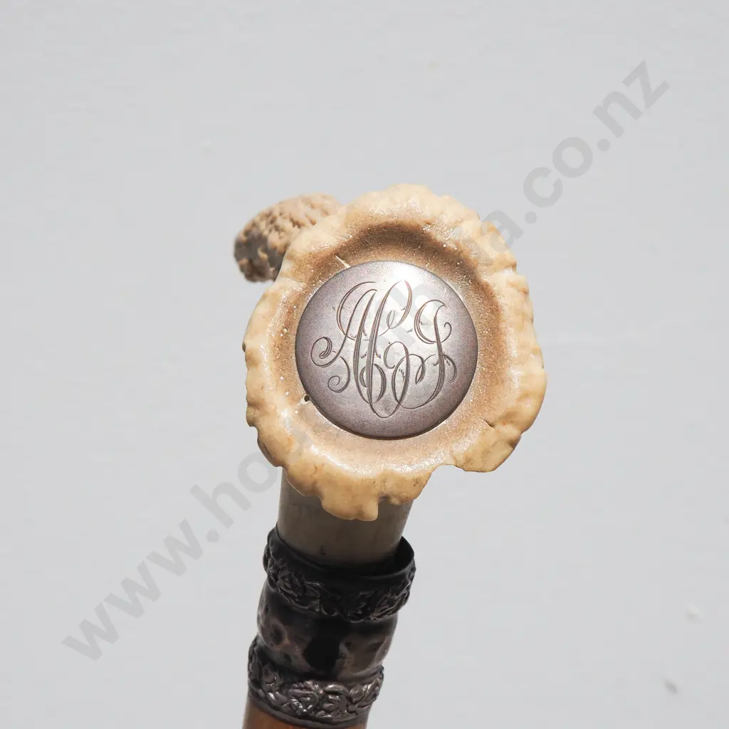 Silk Parasol w Antler Handle - Wooden Cane w Sterling Silver Collar Image 1++