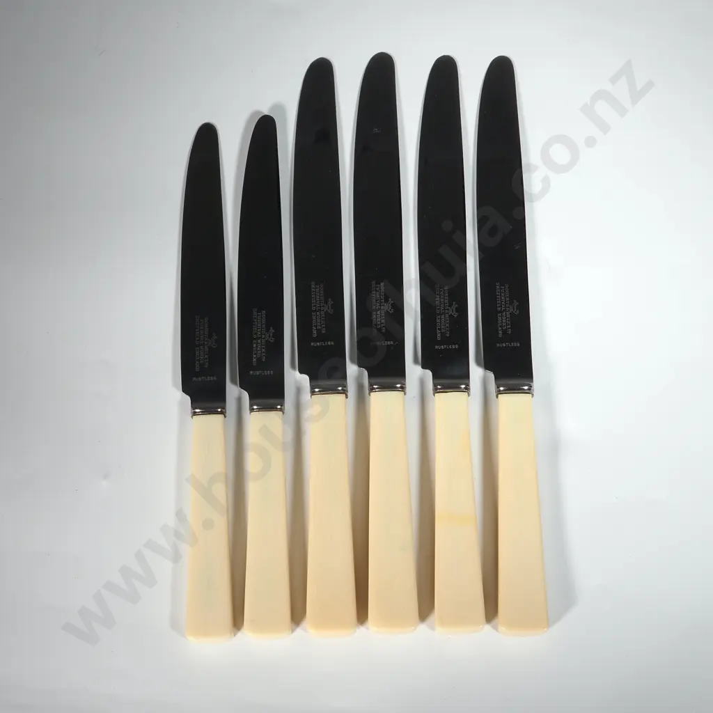 Vintage Of Six Unused Bone Handled Dinner Knives Image 1++