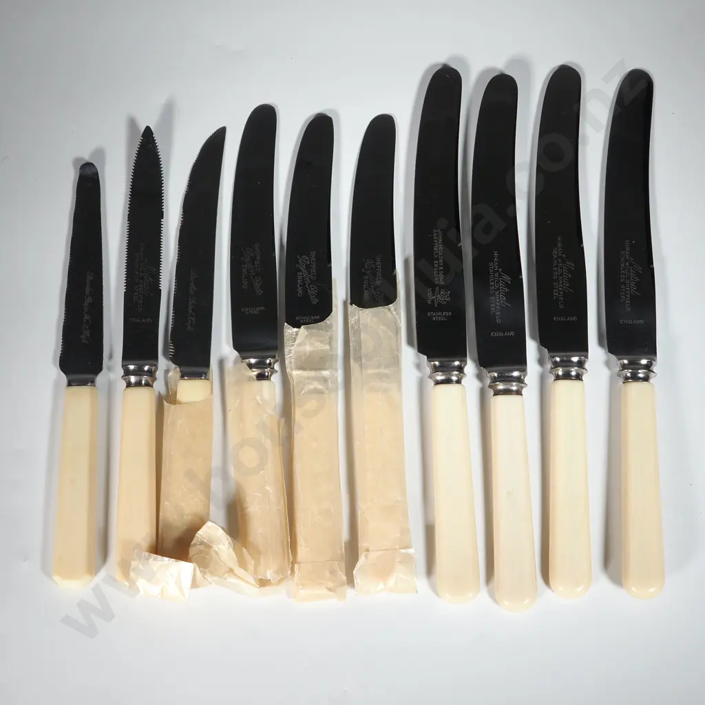 Vintage Set Of Ten Unused Bone Handled Knives. Image 1++