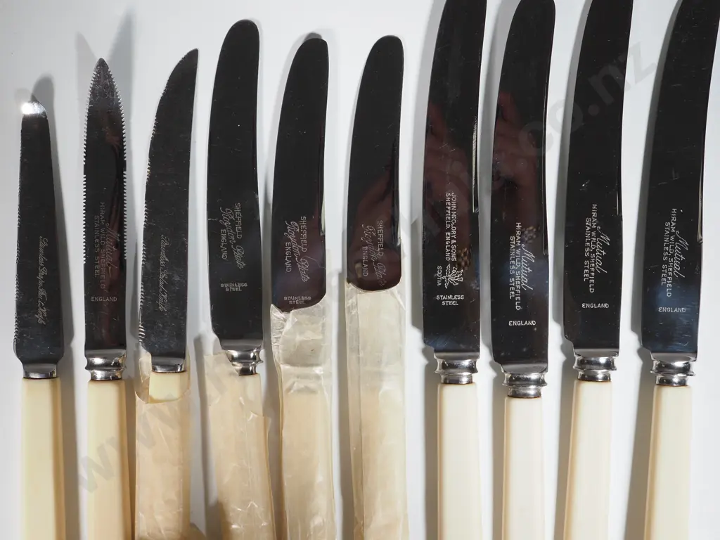 Vintage Set Of Ten Unused Bone Handled Knives. Image 1++