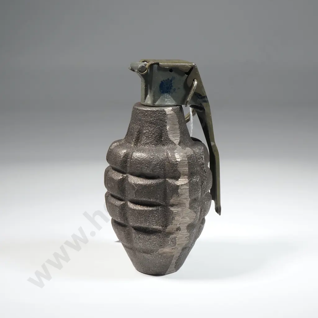 Pineapple Training Grenade  Image 1++