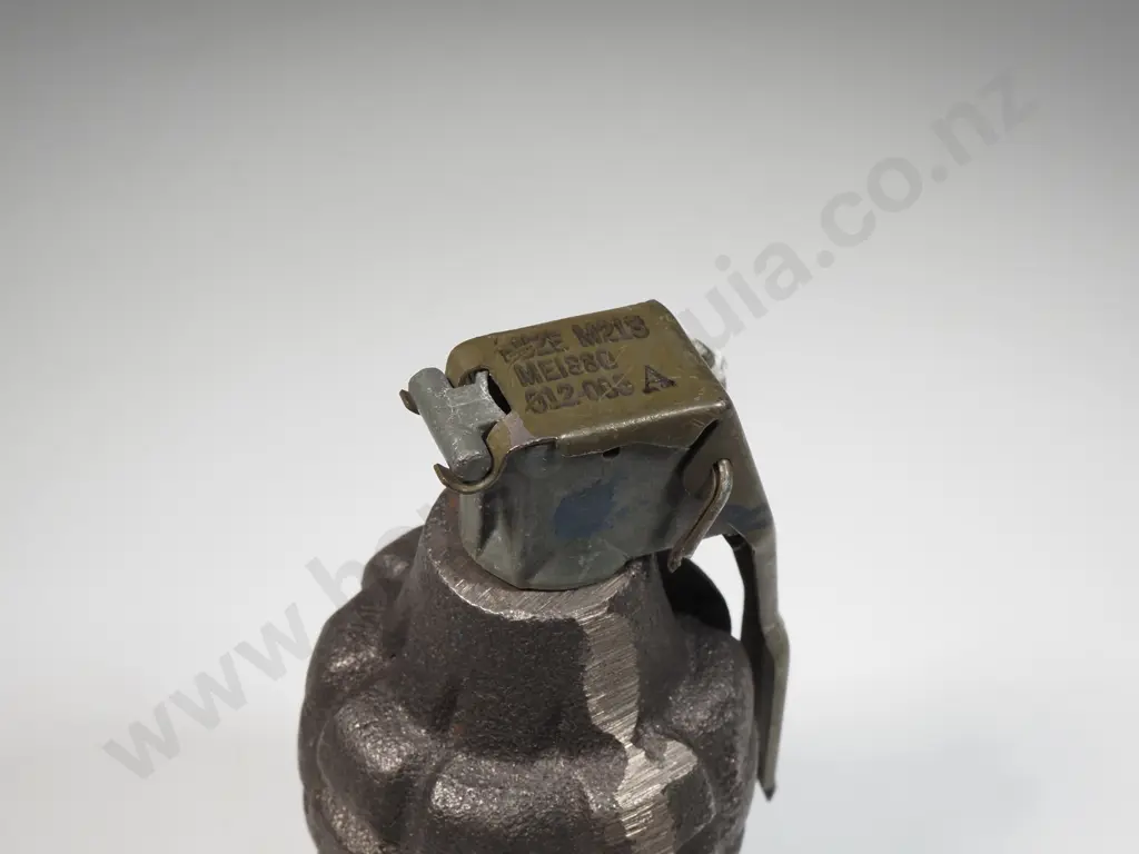 Pineapple Training Grenade  Image 1++