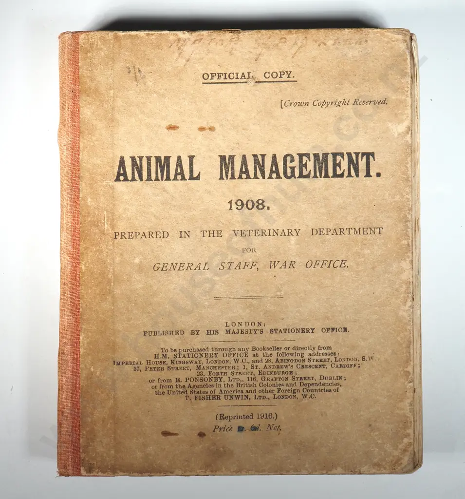 Veterinary Department, War Office. 1908. Animal Management. Reprint 1916. His Majesty's Stationary Office, London. Image 1++