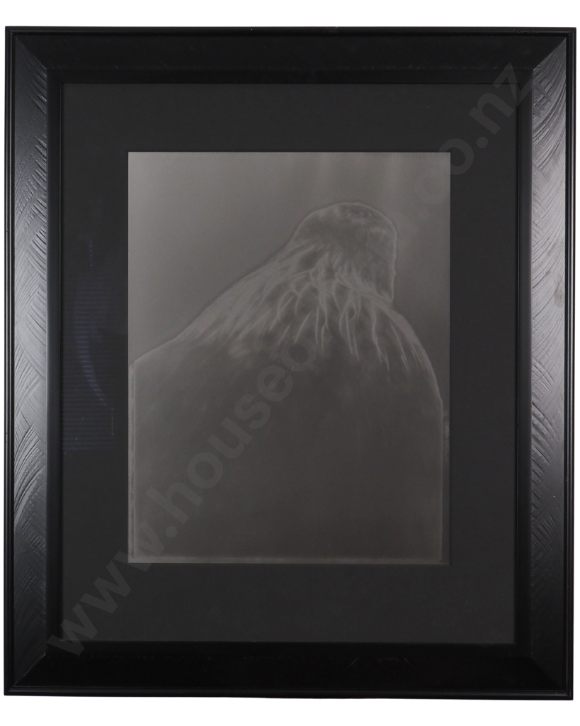 Fiona Pardington. 2008. Tui Mountain [Whanganui Museum]. Toned Silver Bromide Print, 3/5. Image 1++