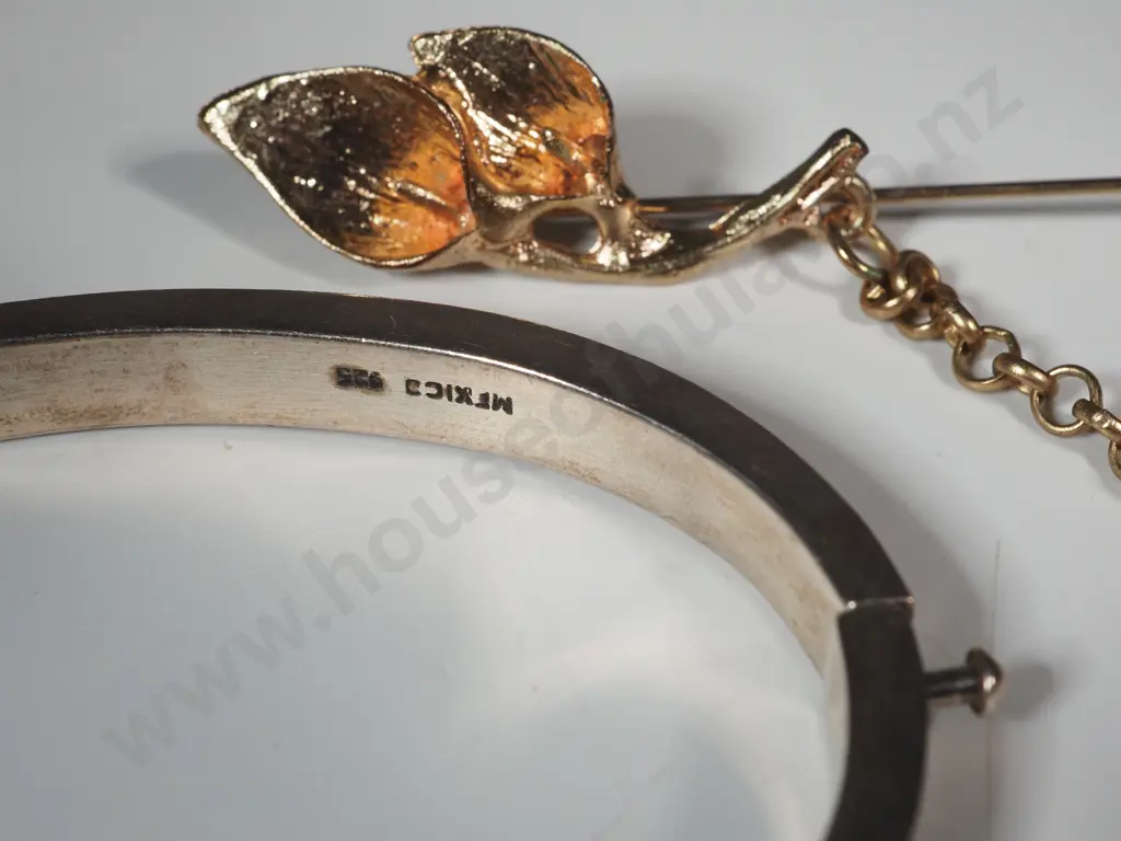 Sterling Silver Bracelet & Pin Image 1++