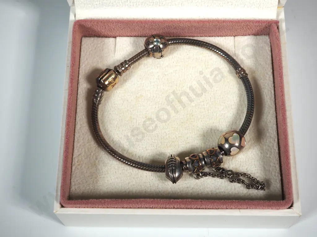 Pandora Bracelet in Sterling SIlver w 14ct Gold Clasp & Four Sterling Silver Charms in Original Box Image 1++
