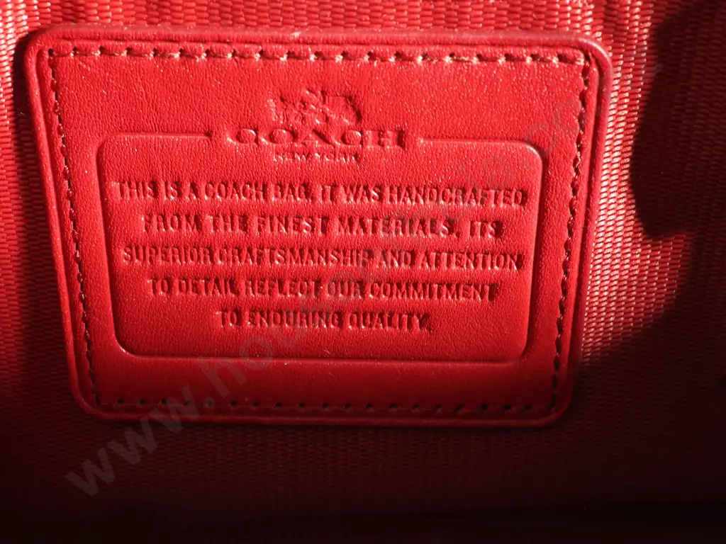 COACH Mini Nolita Satchel Gathered Leather in Red Image 1++