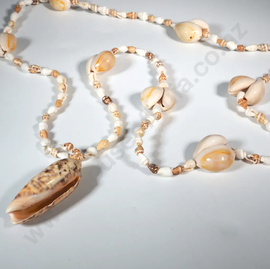 Shell Necklace w Shell Pendant. Image 1++