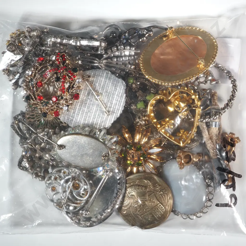 Large Quantity Of Costume Brooches Including Grouse Claw, Articulated Fish Image 1++