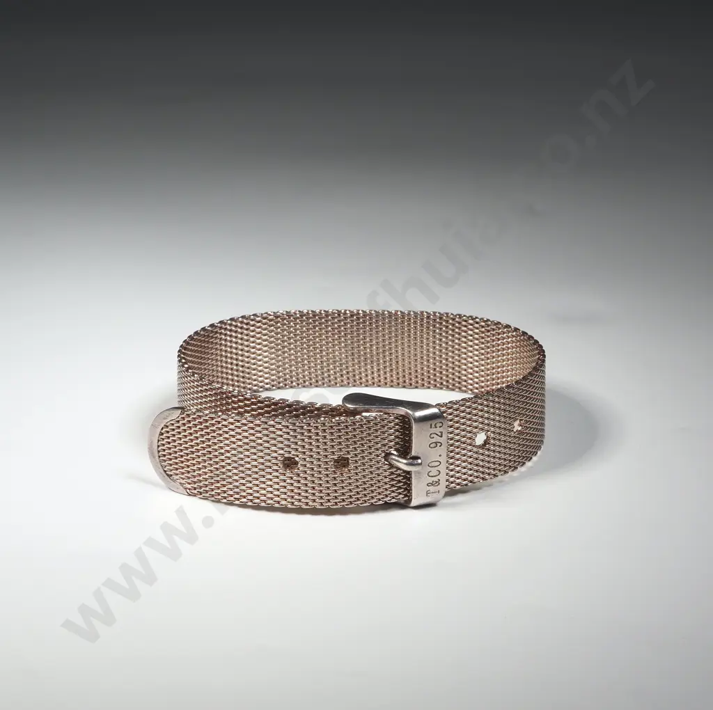 Tiffany & Co Sterling Silver Mesh Bracelet Image 1++