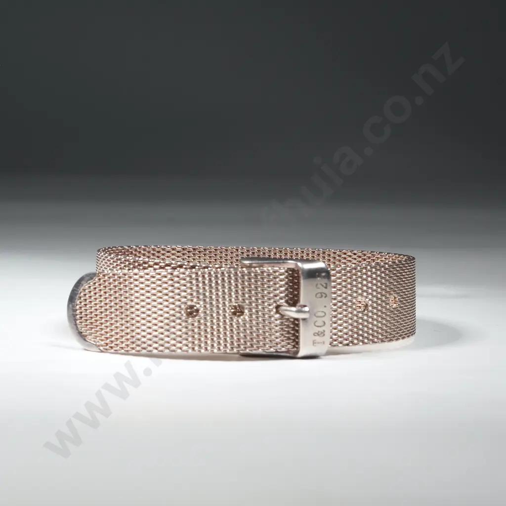 Tiffany & Co Sterling Silver Mesh Bracelet Image 1++