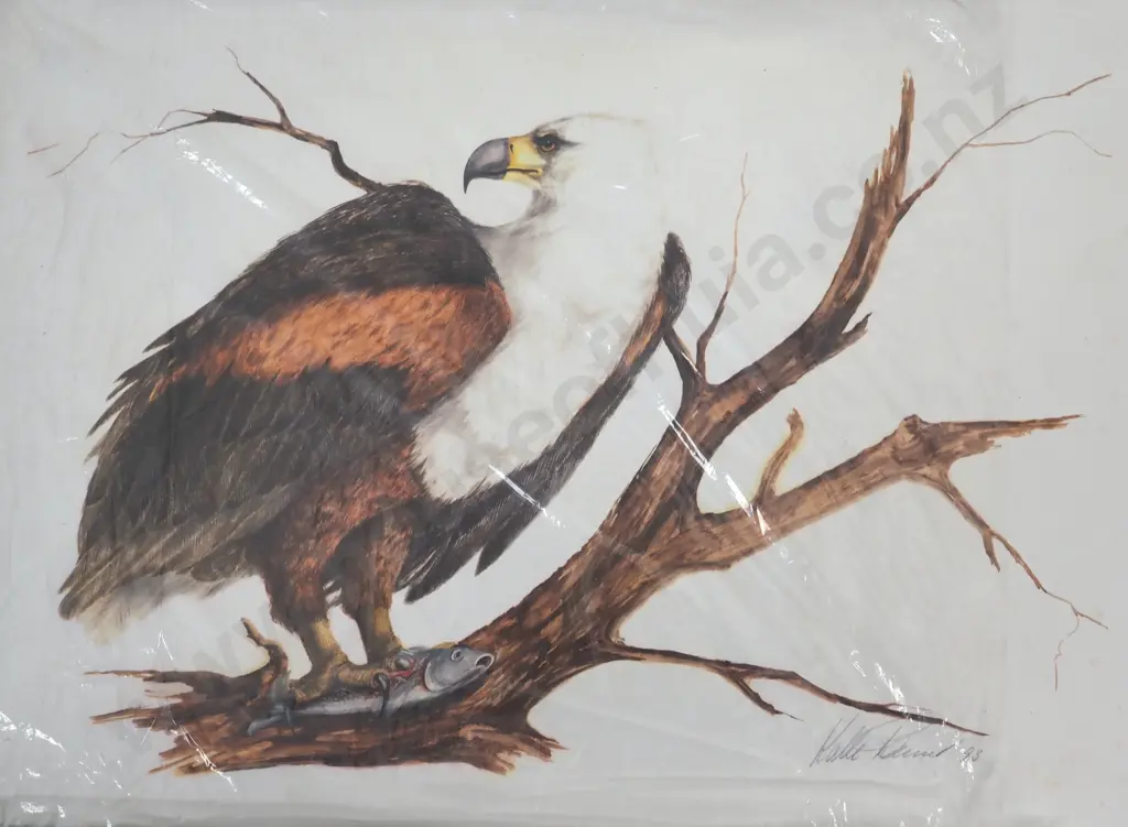 Possibly Kalle Power/Daniel. 1993. African Birds. Unframed Prints. Image 1++