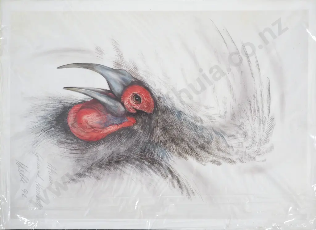Possibly Kalle Power/Daniel. 1993. African Birds. Unframed Prints. Image 1++