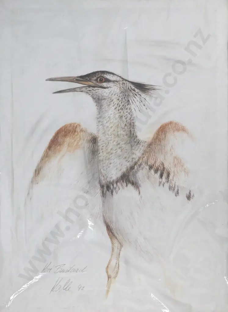 Possibly Kalle Power/Daniel. 1993. African Birds. Unframed Prints. Image 1++