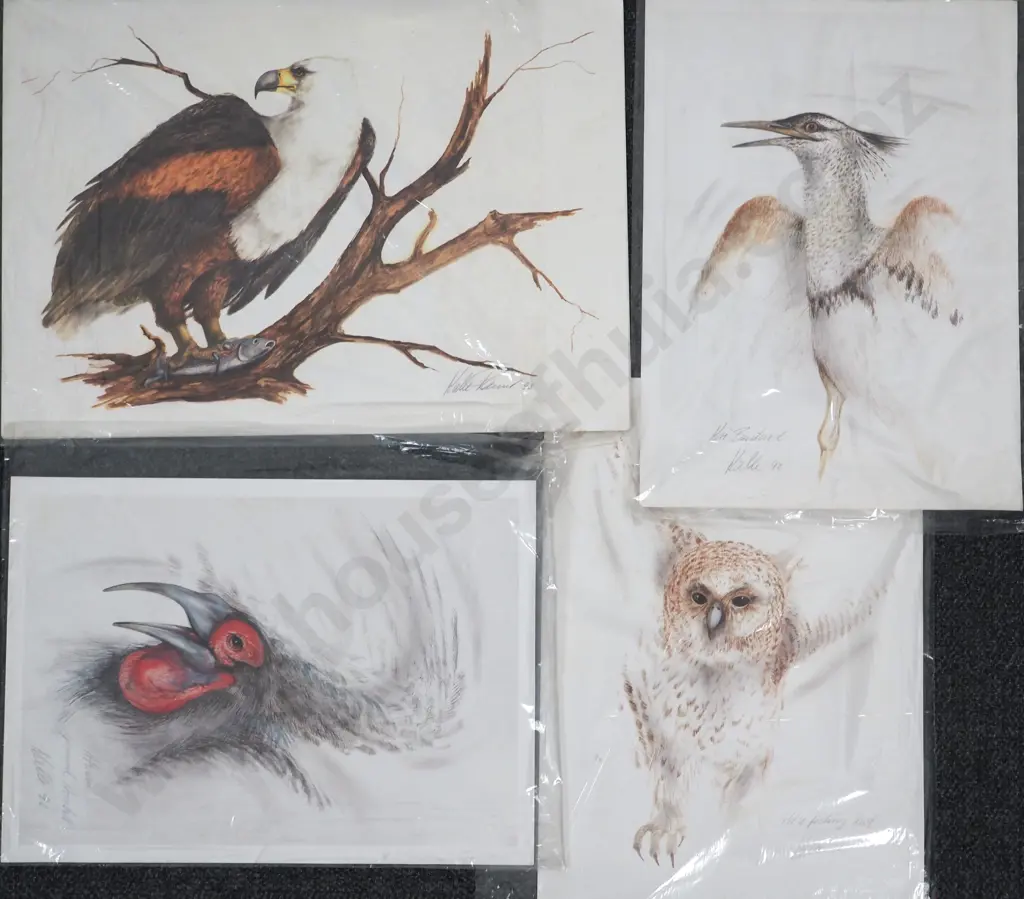 Possibly Kalle Power/Daniel. 1993. African Birds. Unframed Prints. Image 1++
