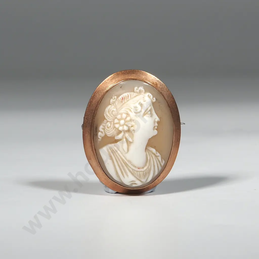 9ct Gold Cameo Brooch Image 1++
