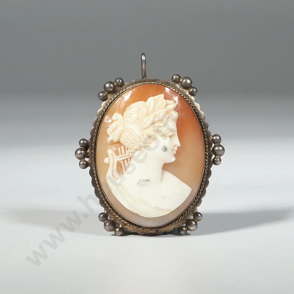 .800 Silver Cameo Pendant / Broch Image 1++
