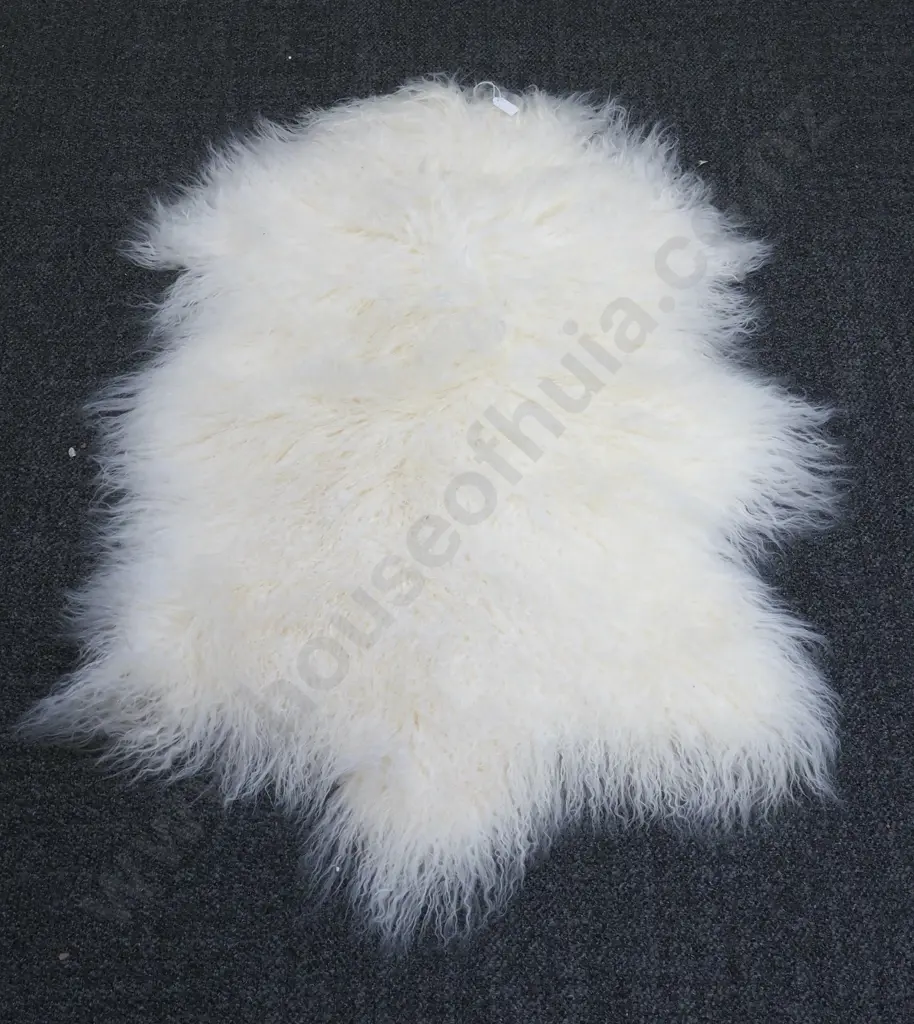 Ivory Tibetan Curly Lamb Hide - New. Image 1++