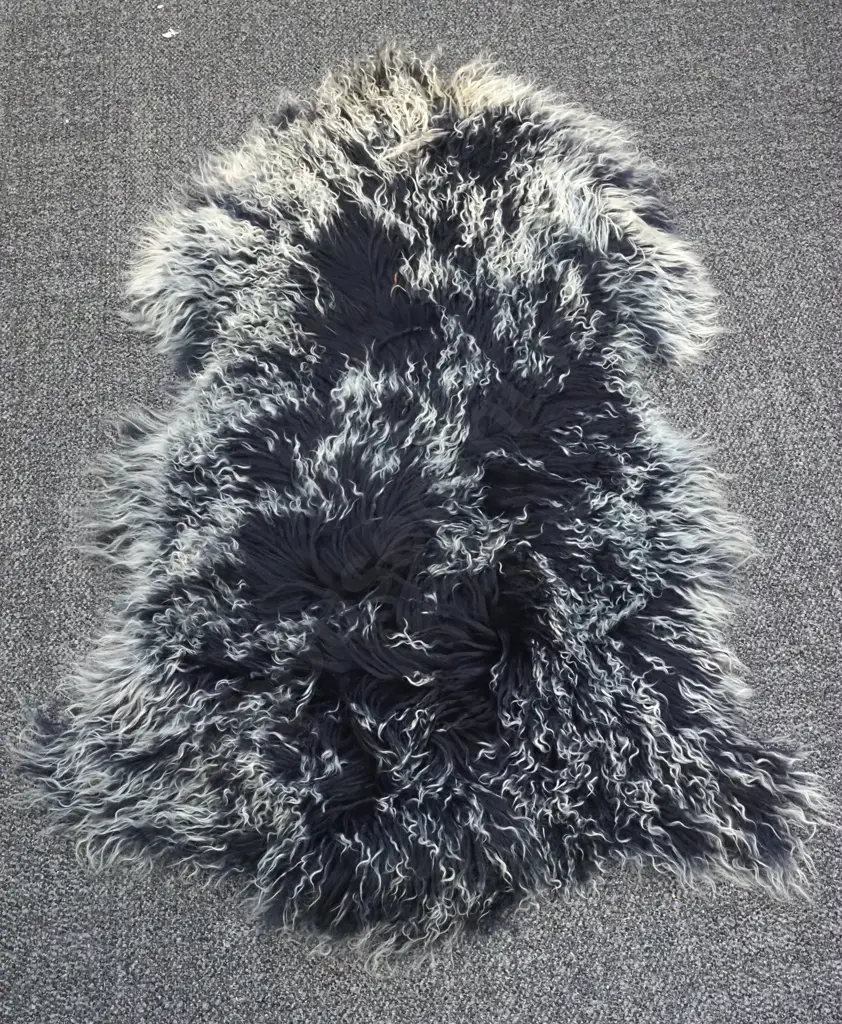 Blue/Ivory Tibetan Curly Lamb Hide - New. Image 1++