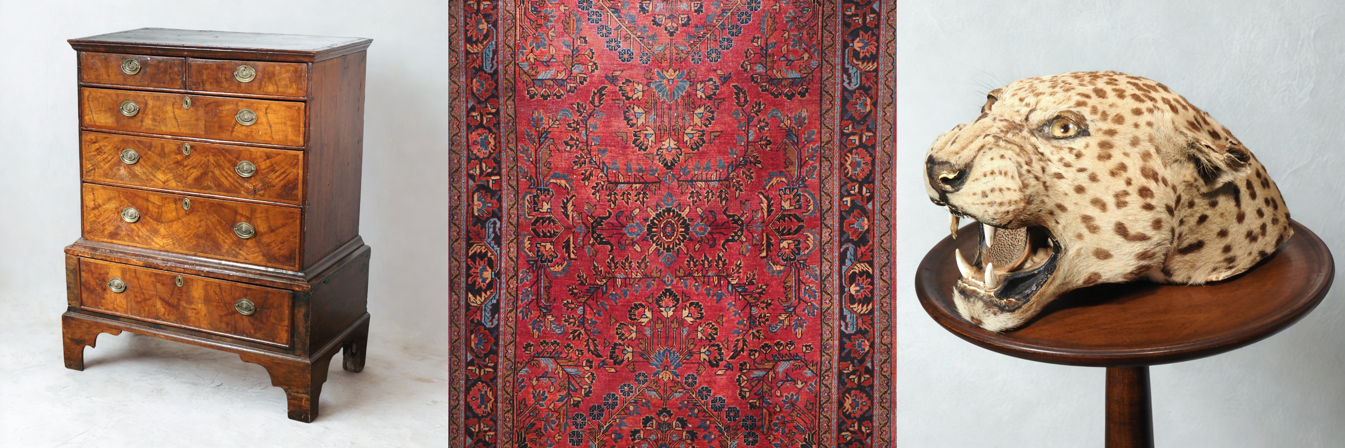 Premier Live Antique & Taxidermy Auction